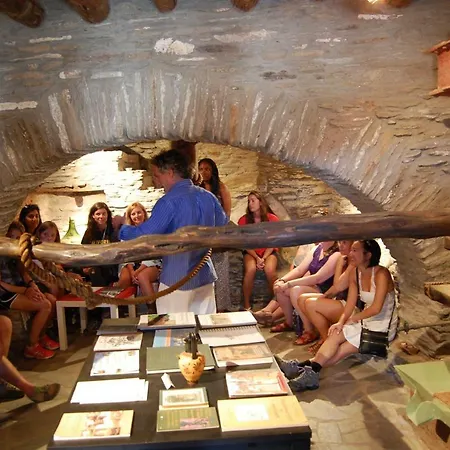 Cyclades Olive Museum's Guest house Pitrofos
